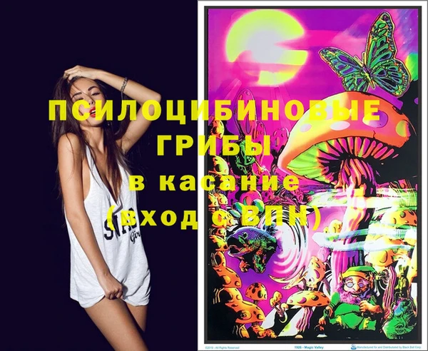 не бодяженный Магас