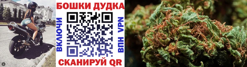 Купить  Армавир  Бошки Шишки VHQ 